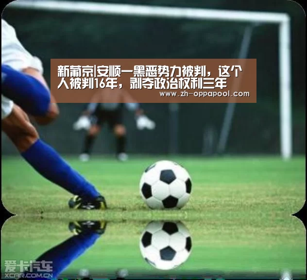 新葡京|安顺一黑恶势力被判,这个人被判16年,剥夺政治权利三年(图1) 新葡京