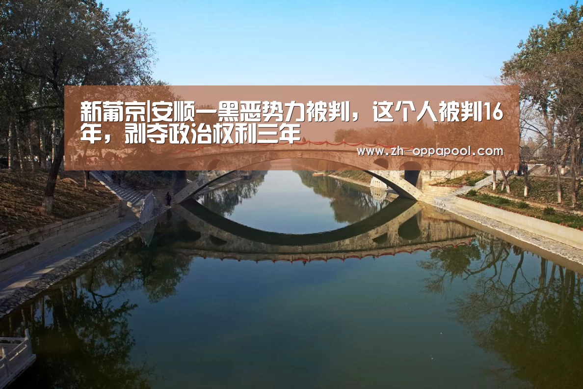 新葡京|安顺一黑恶势力被判,这个人被判16年,剥夺政治权利三年(图2) 新葡京