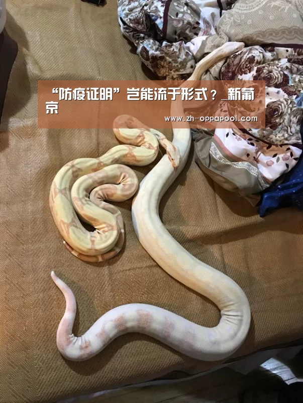 新葡京