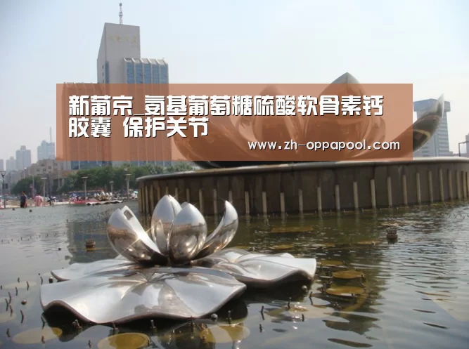 新葡京_氨基葡萄糖硫酸软骨素钙胶囊 保护关节(图2) 新葡京