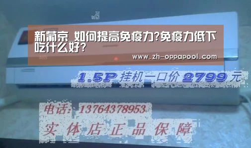 新葡京
